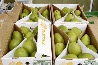 Allgemeines De Utkieker De