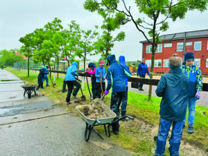 Eine Wildblumenwiese wurde während der Projektwoche angelegt. Foto: Schulgarten-AG 