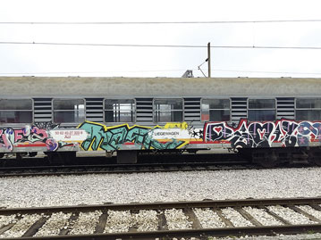 Knobel