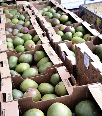 Mango