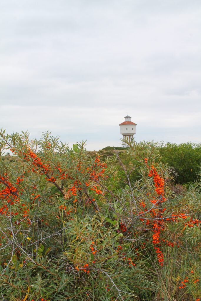 Grüße von der Insel im Oktober